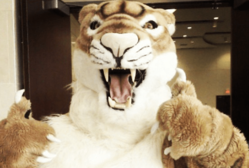 Collin Cougar's October 2017 Movie Reviews