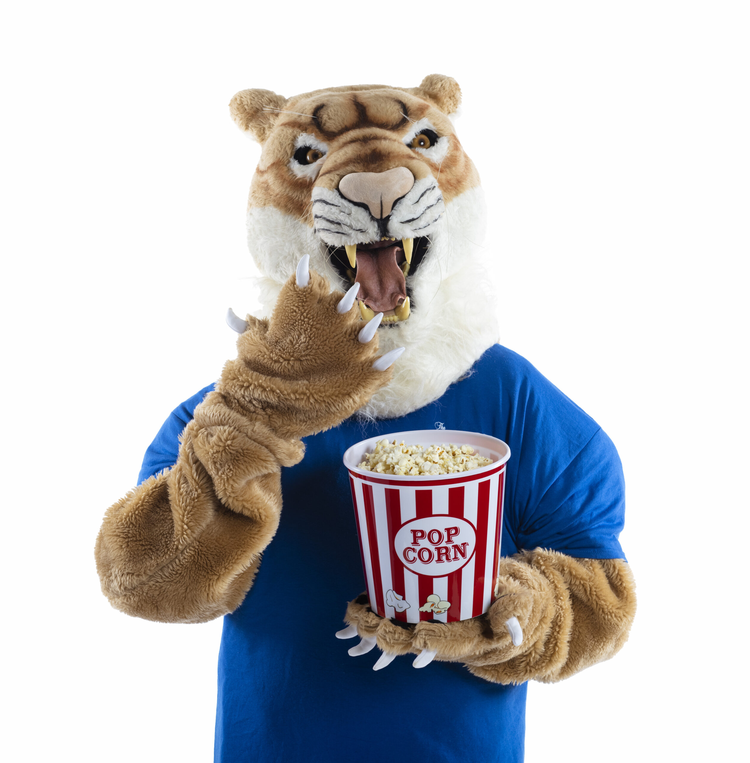 Collin Cougar Mascot
